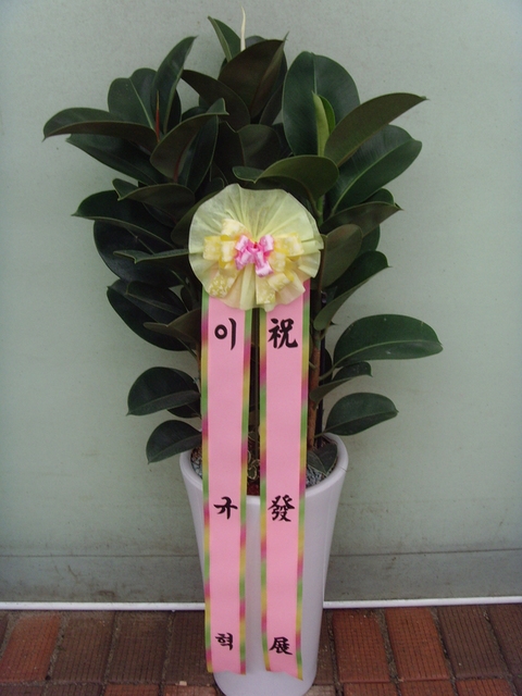 ��������7