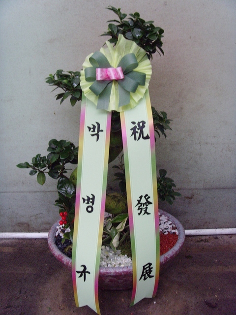 ��������7